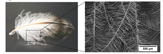 20191008100019_785 20191008100019_785